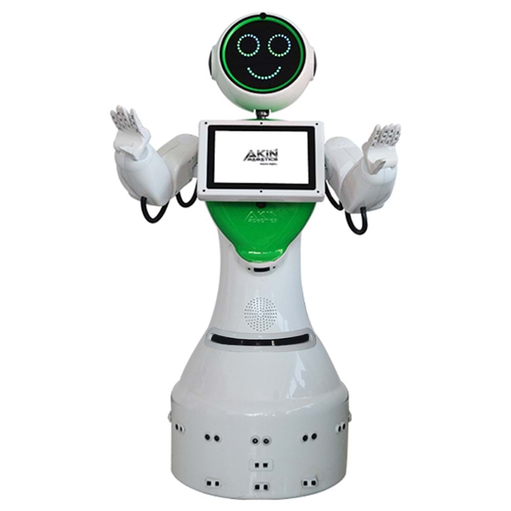 MİNİ ADA İNSANSI ROBOT