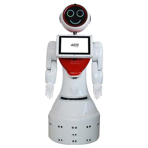 MİNİ ADA İNSANSI ROBOT